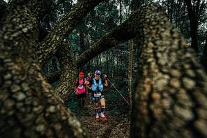 BIB: 
                            <button type="button" onclick="openModal(25672831)" class="btn btn-primary btn-sm float-right btn-popup" data-toggle="modal" data-target=".modal-high-quality">
                        <i class="fas fa-shopping-cart"></i> Add to Cart
                    </button>
                                            <button type="button" onclick="isThisMe(25672831, true)" class="btn btn-success btn-sm float-right btn-popup btn-isme hidden" data-toggle="tooltip" data-placement="bottom" title="นี่คือรูปของคุณใช่ไหม คลิกที่นี่เพื่อเอาเข้าอัลบั้ม">
                        <i class="fas fa-plus"></i> Add to album
                    </button>
                    <button type="button" onclick="isThisMe(25672831, false)" class="btn btn-warning btn-sm float-right btn-popup btn-isnotme hidden">
                        <i class="fas fa-ban"></i> Remove from album
                    </button>